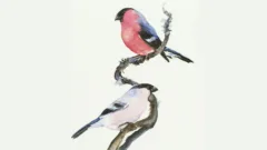 Bodleian Libraries exhibition explores humanity’s enduring relationship with birds
