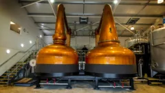 Cotswolds Distillery Stills