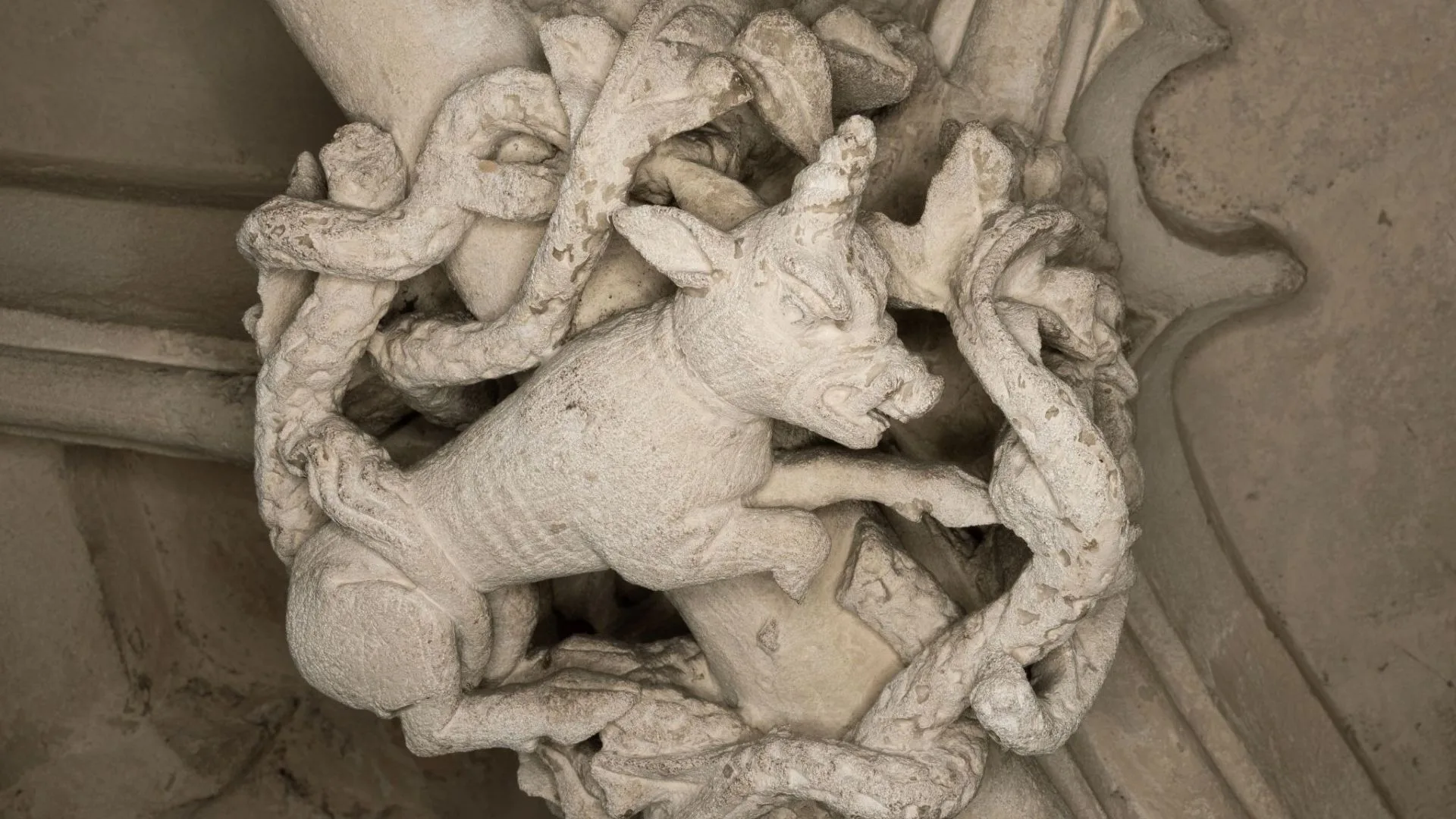 Monoceros, Divinity School