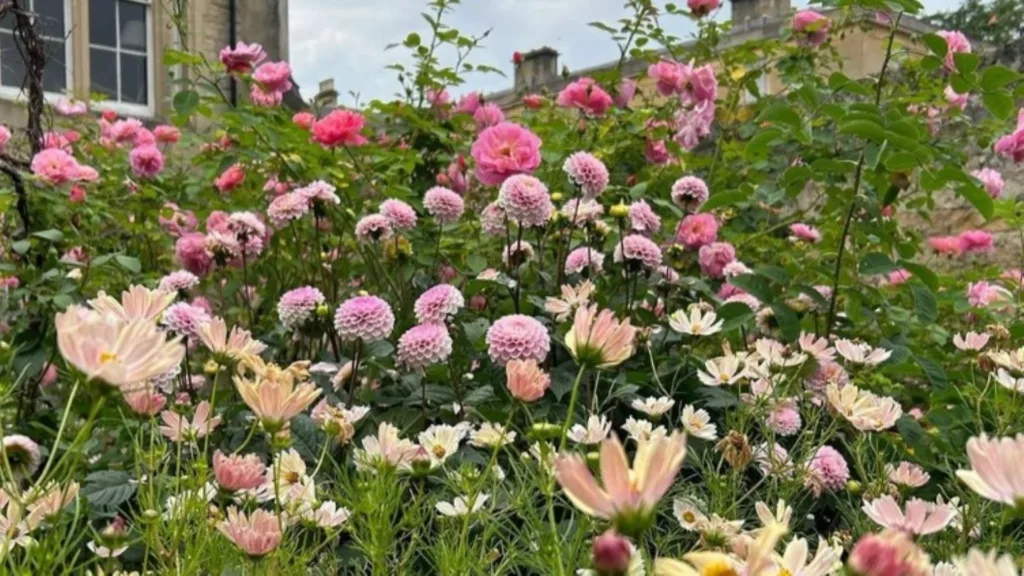 Gardens In Bloom: Tours of Trinity College