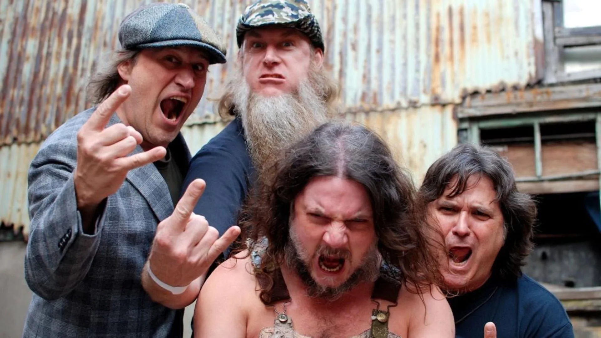 Hayseed Dixie
