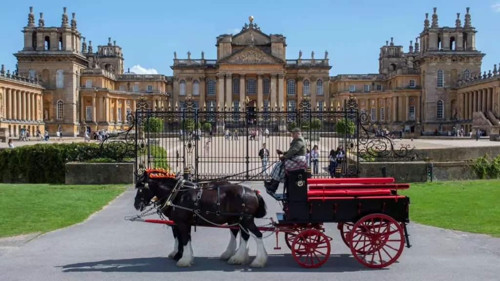 Horses at Blenheim Palace