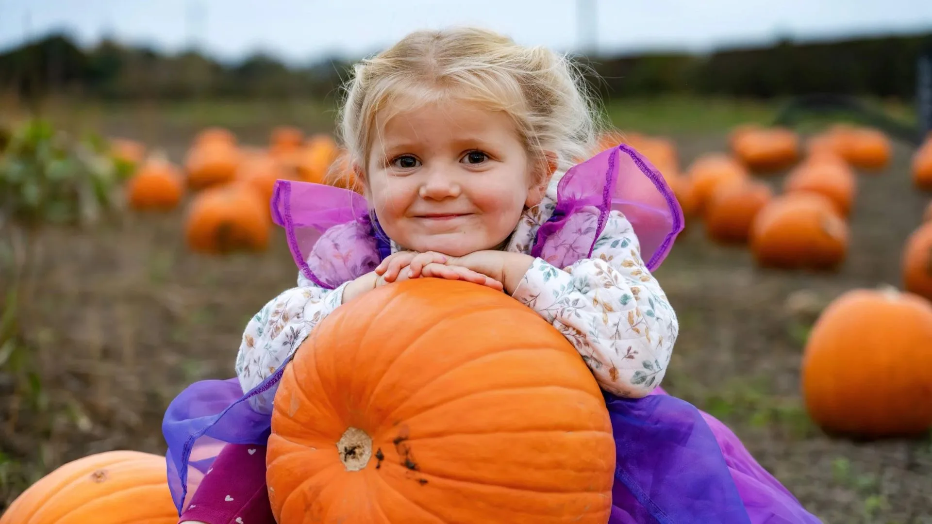 Where to go pumpkin picking in Oxfordshire in 2026