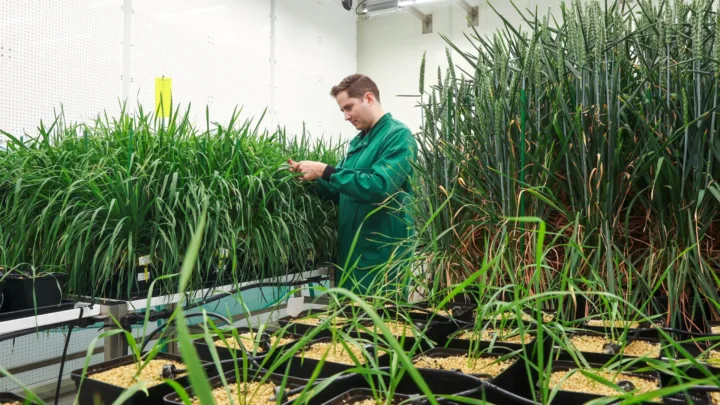 Wild Bioscience scales climate-resilient crop development at Milton Park after £45m investment