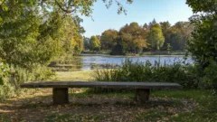 Stowe. Credit National Trust Images/Hugh Mothersole
