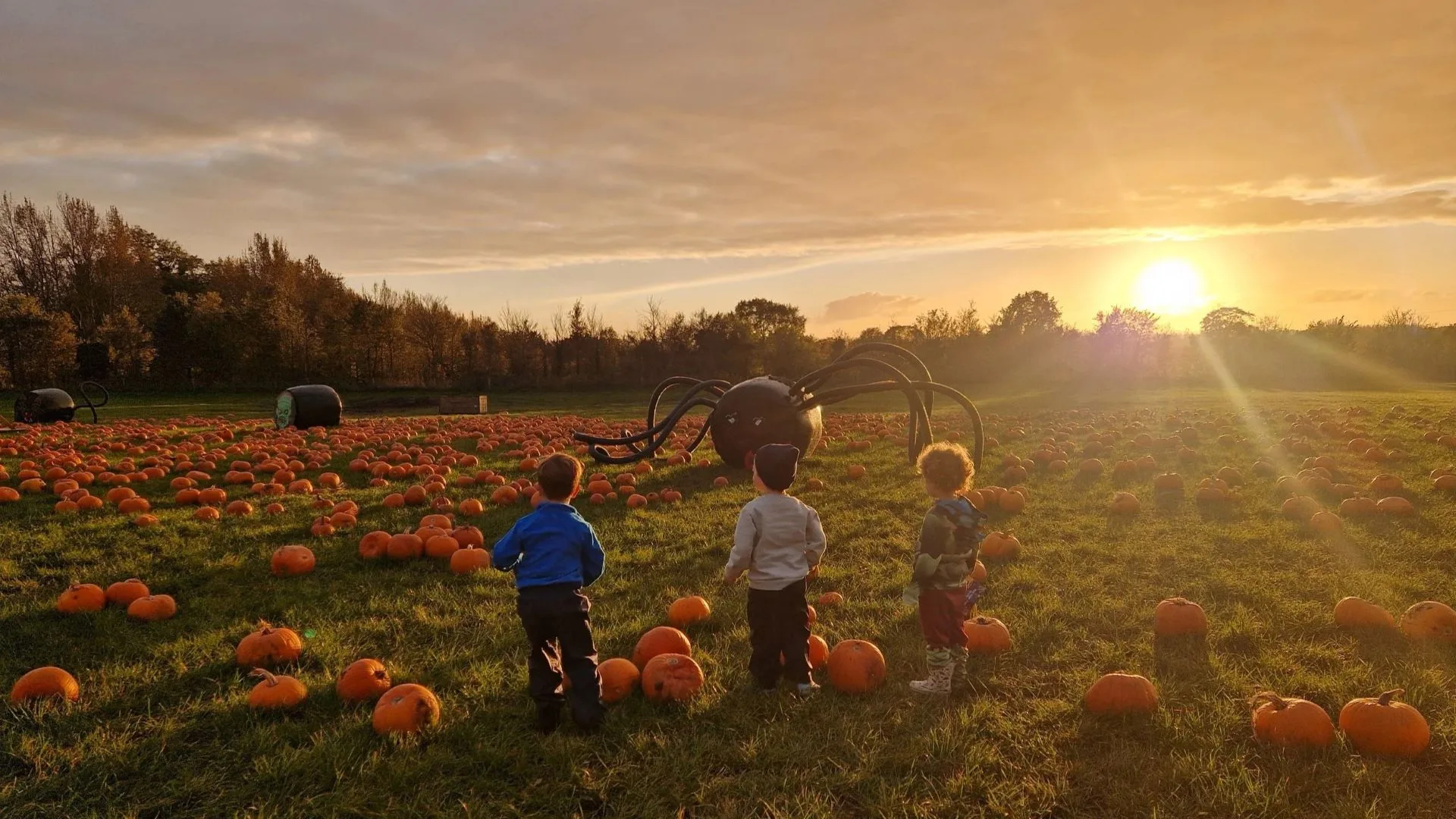 The Midnight Moon – Halloween Adventure