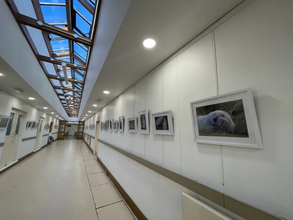 Wildlife photography exhibition brings calm to cancer patients at Churchill Hospital