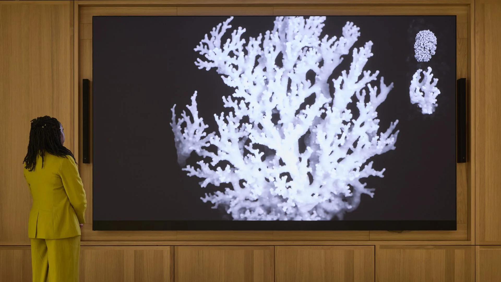 Anna Ridler: A Perfect Language of Images