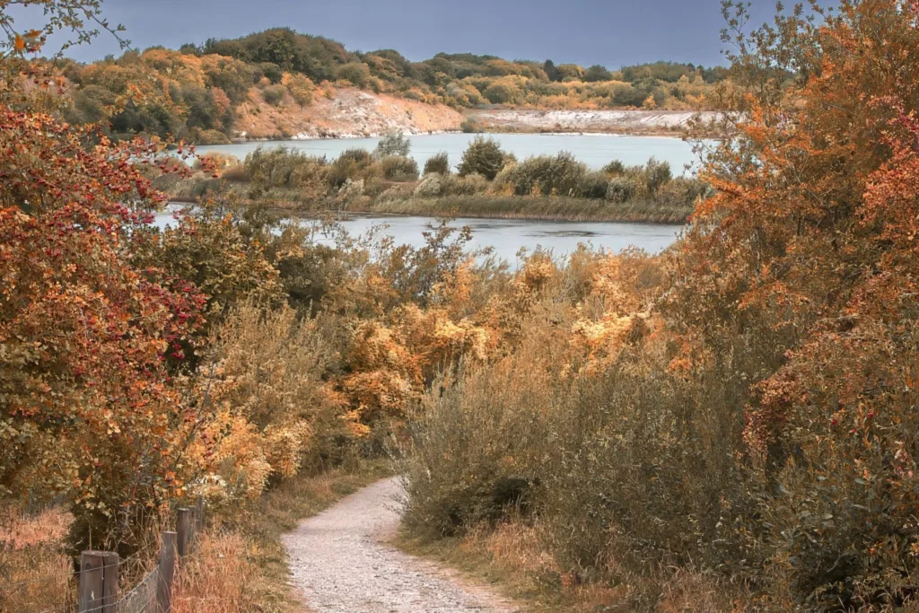 Landscapes & People Runner-Up: College Lake Nature Reserve by Christian Kyriacou