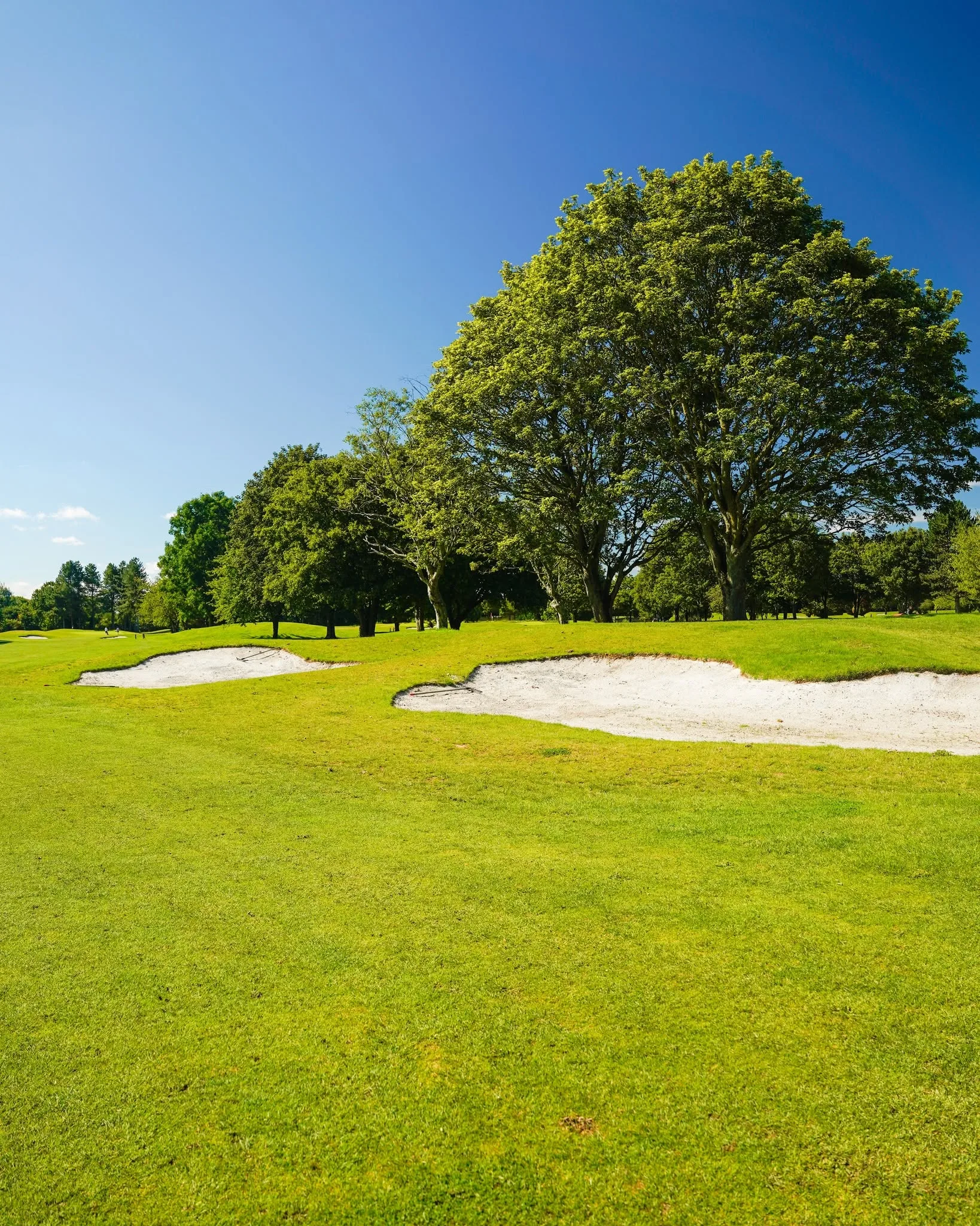 Bicester Hotel Golf & Spa