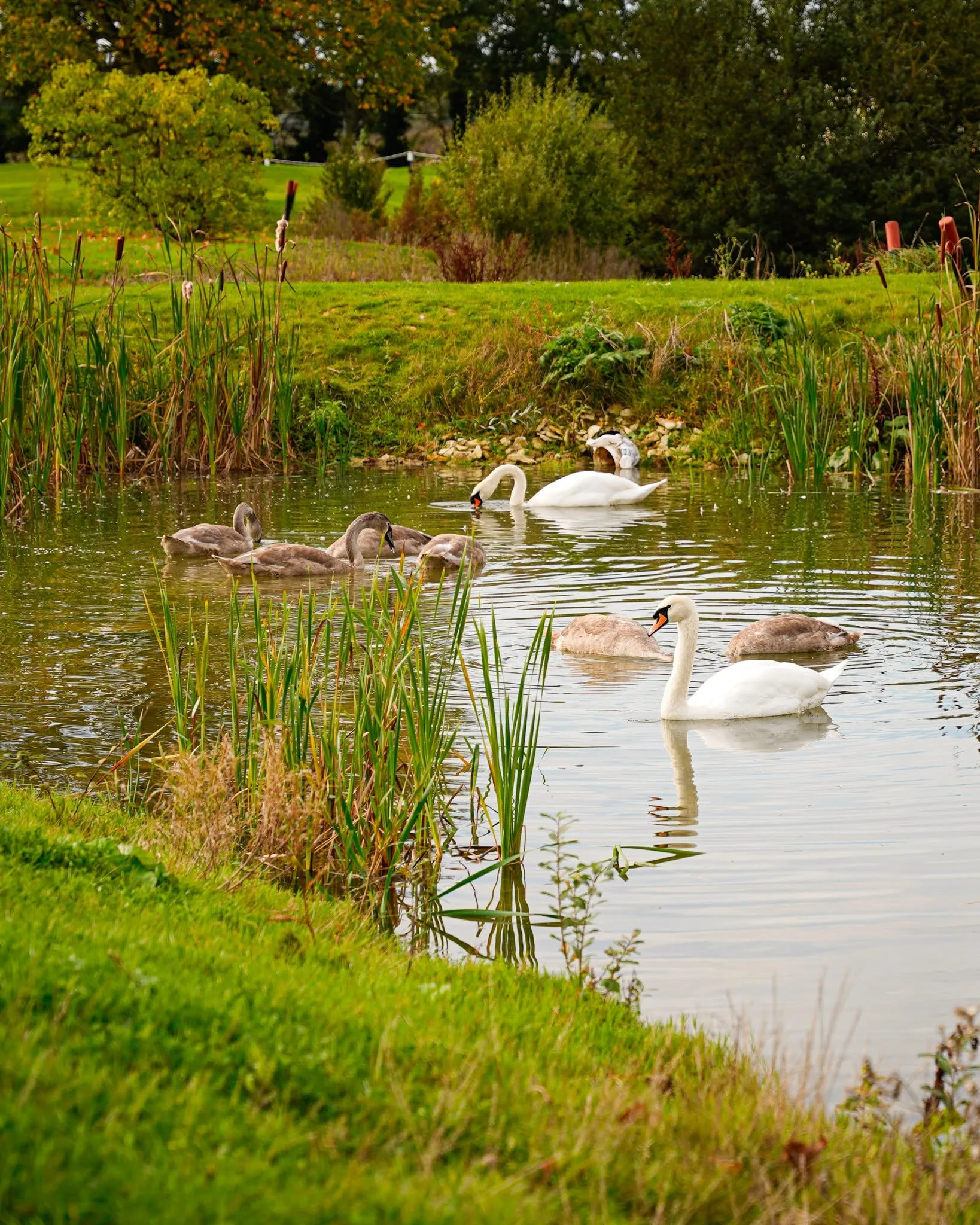 Bicester Hotel Golf & Spa