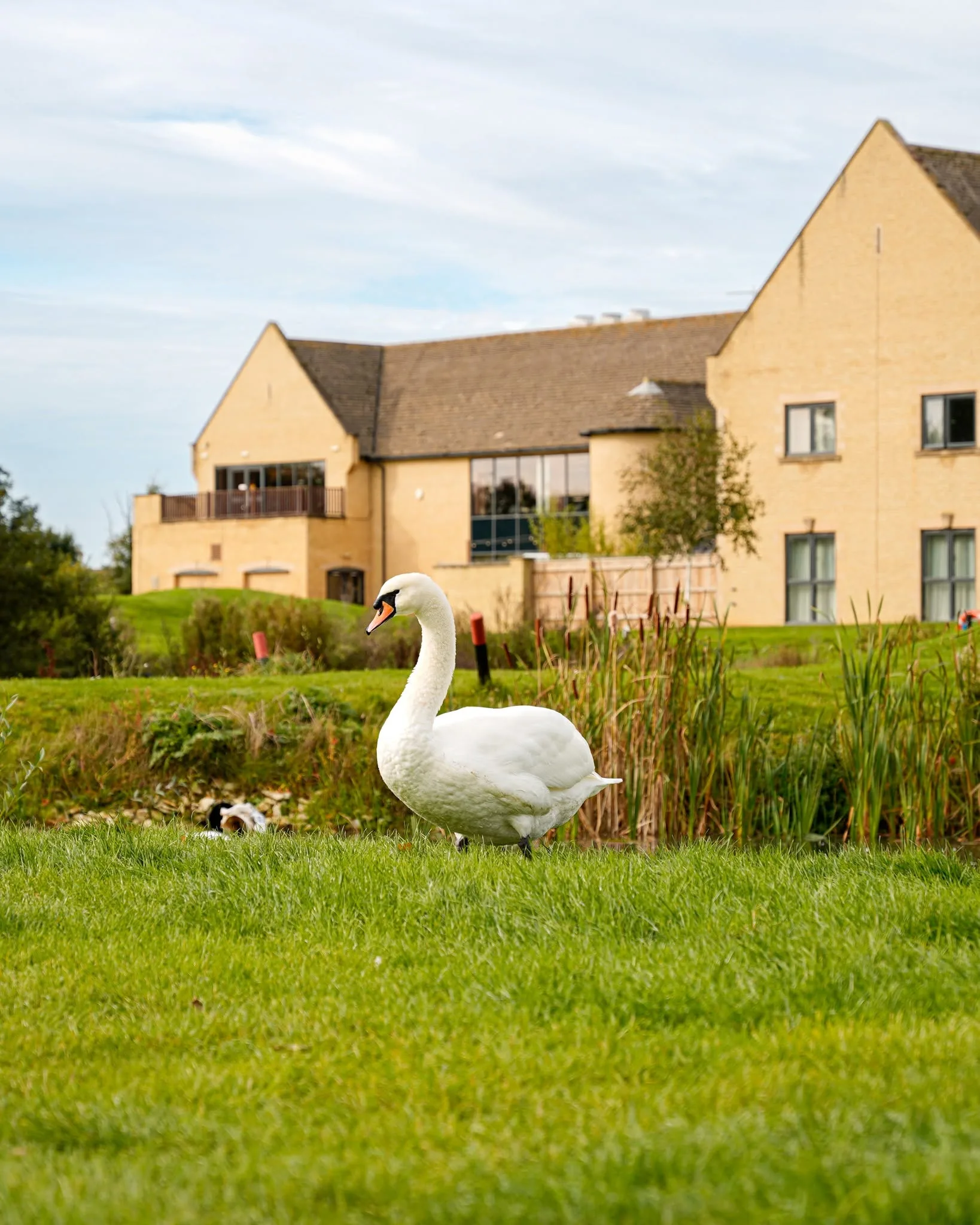 Bicester Hotel Golf & Spa