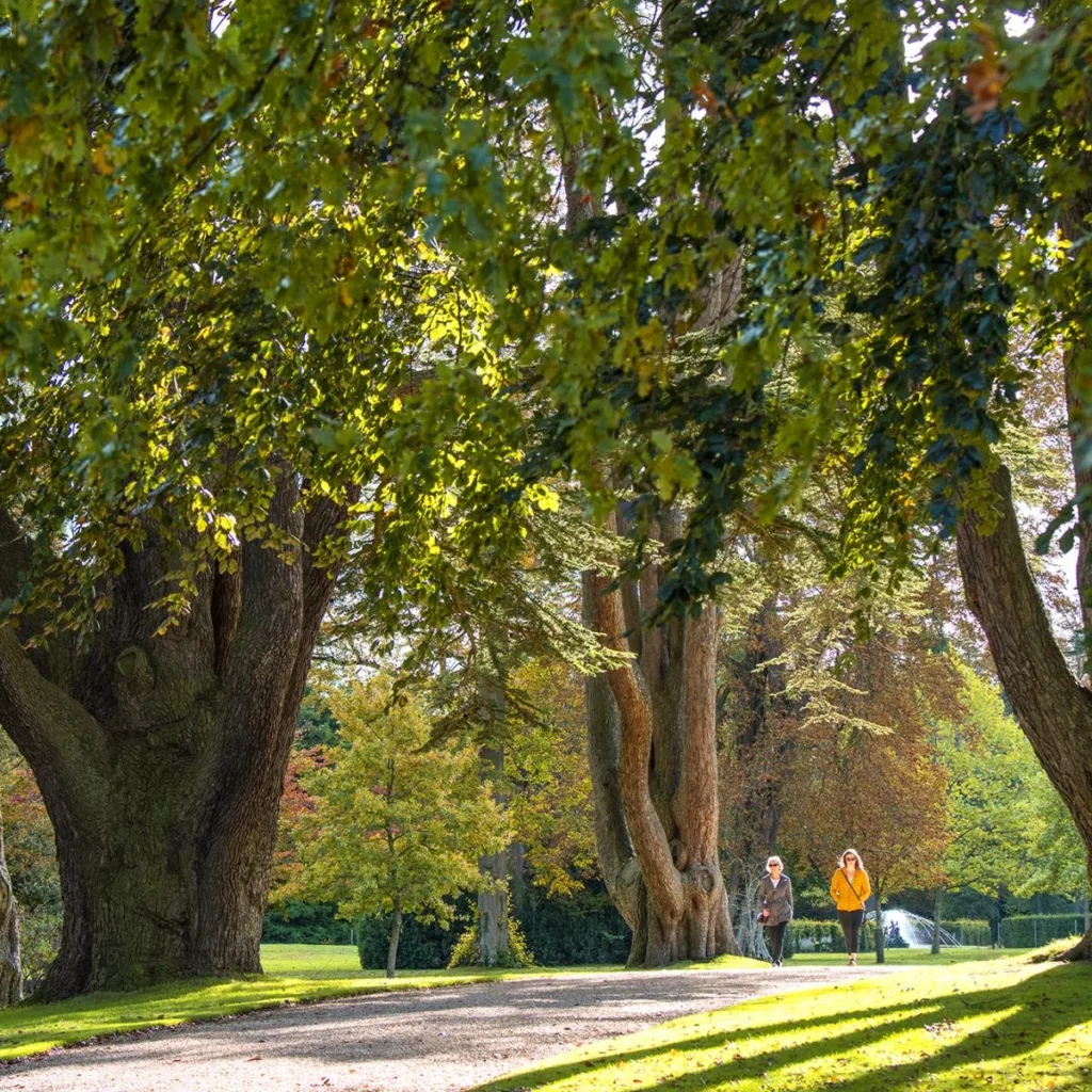 Blenheim Park & Gardens - Gallery 10