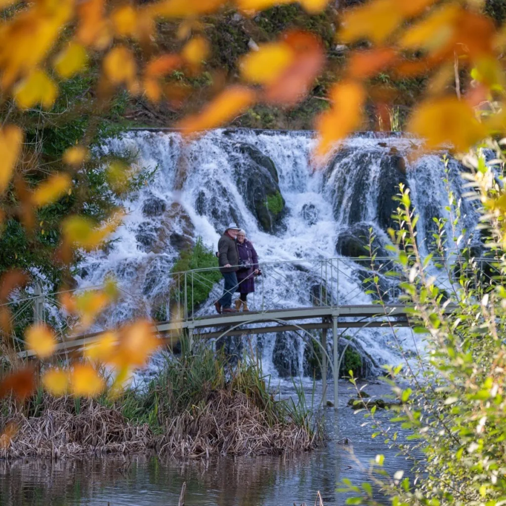 Blenheim Park & Gardens - Gallery 12