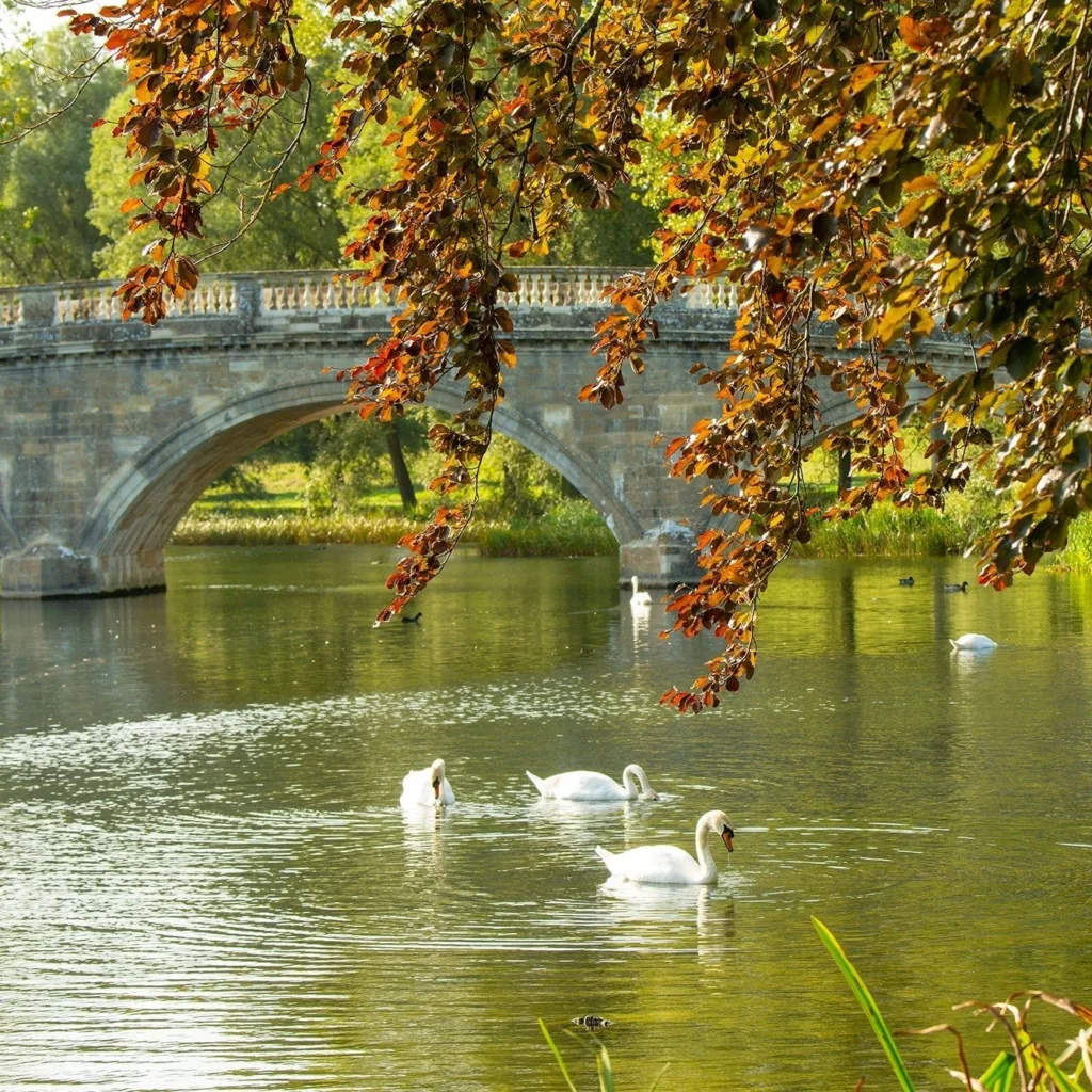 Blenheim Park & Gardens - Gallery 13