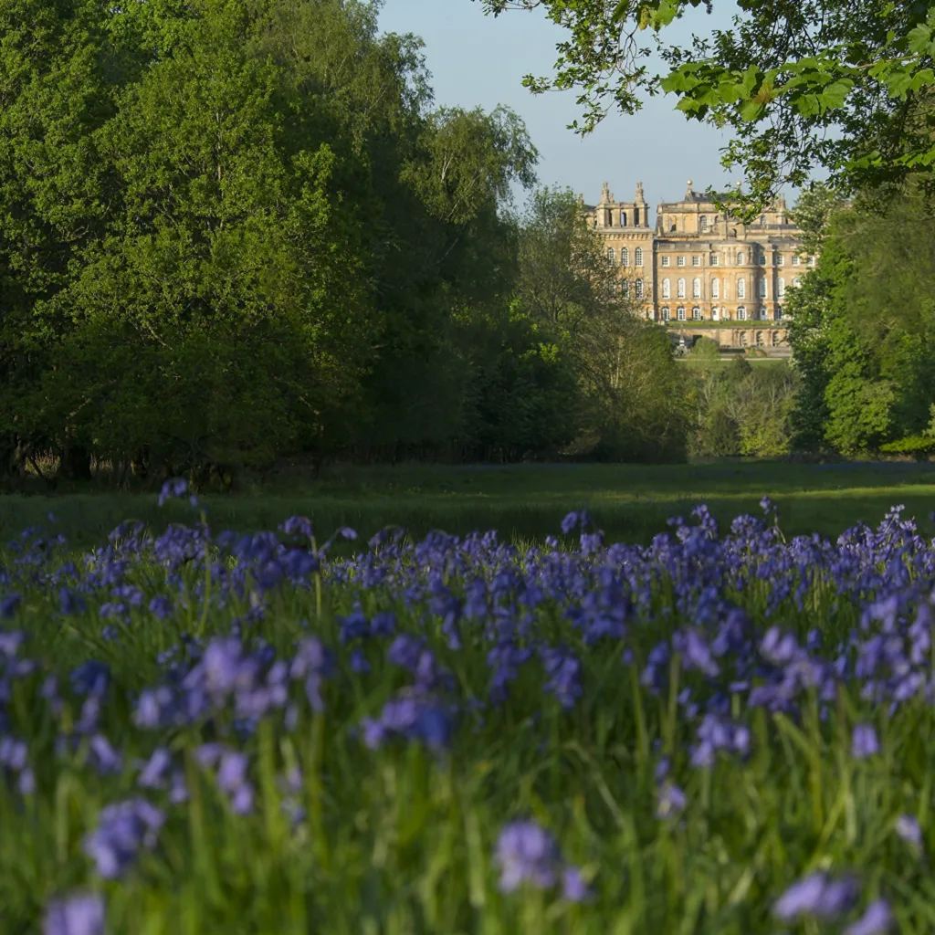 Blenheim Park & Gardens - Gallery 15