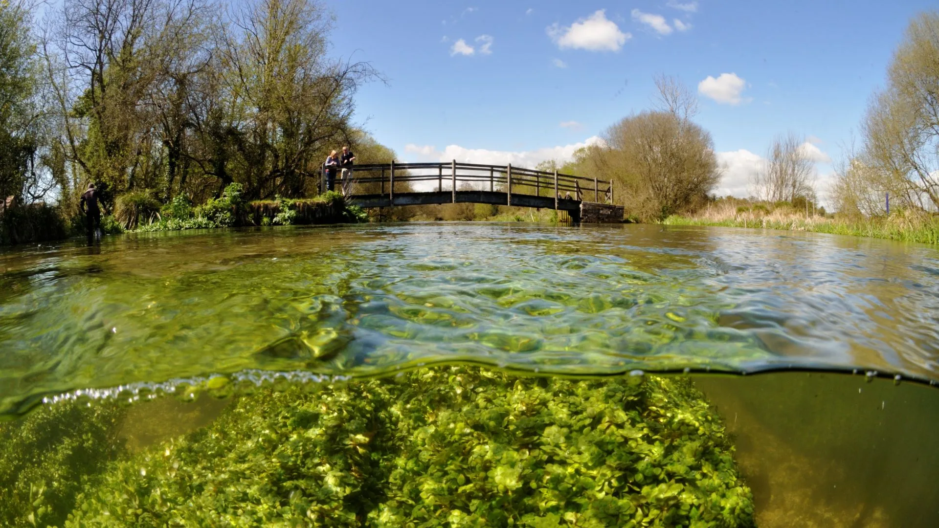 Chalk Streams