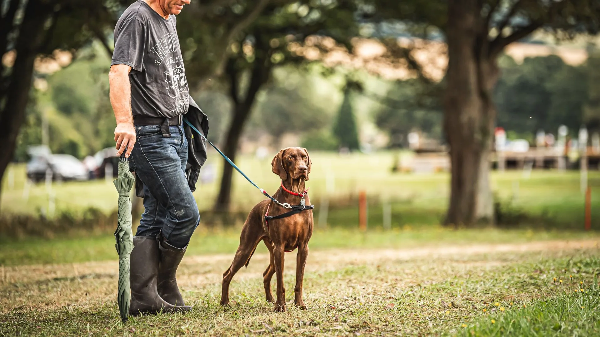 Diddly Dog Show at Cornbury House Horse Trials