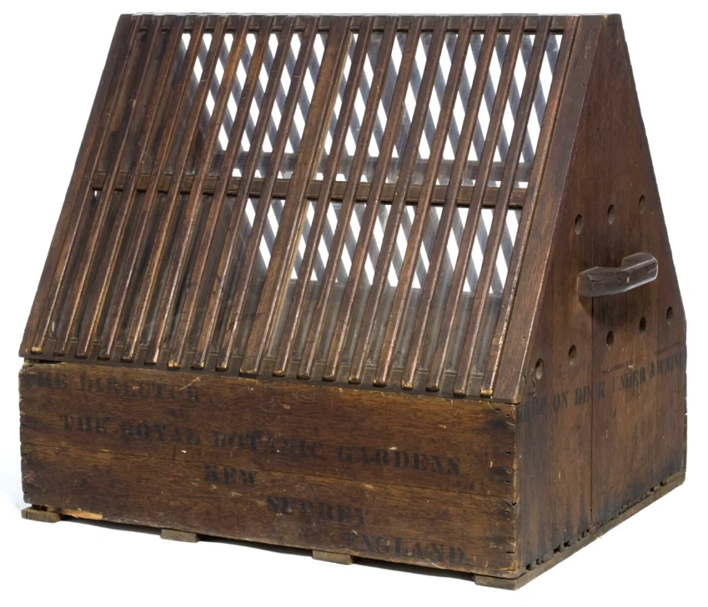 Kew Wardian case, c. 1870, wood & glass. Courtesy Royal Botanic Gardens, Kew