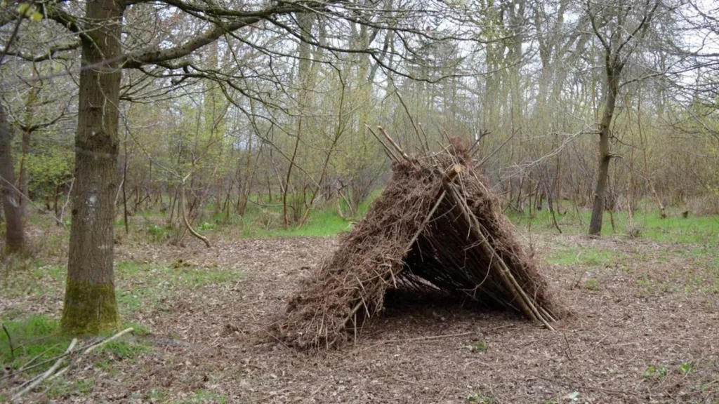 Family Forest School at Harcourt Arboretum