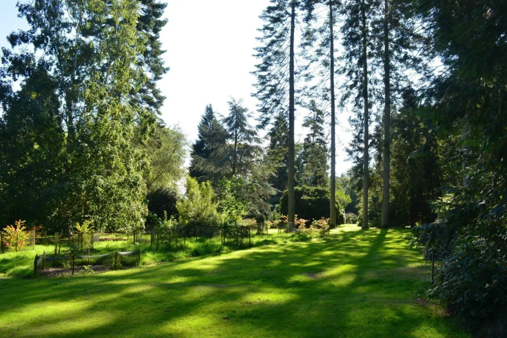 Harcourt Arboretum - The Original Pinetum and Serpentine Ride