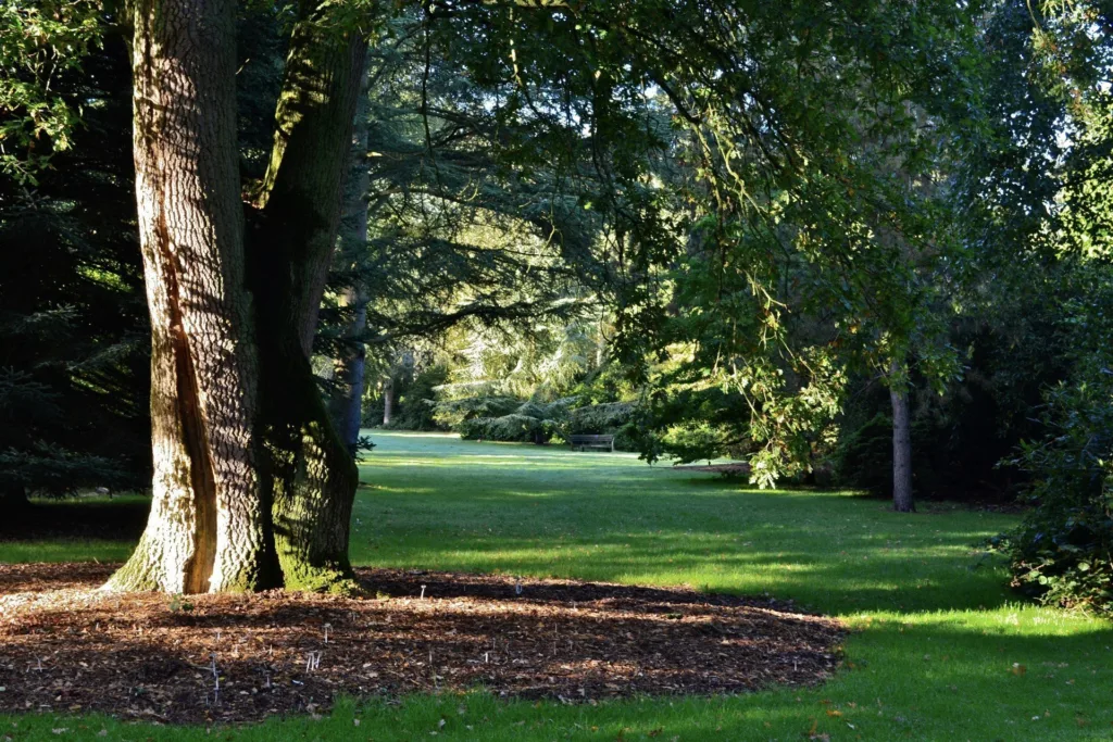 Harcourt Arboretum - The Original Pinetum and Serpentine Ride