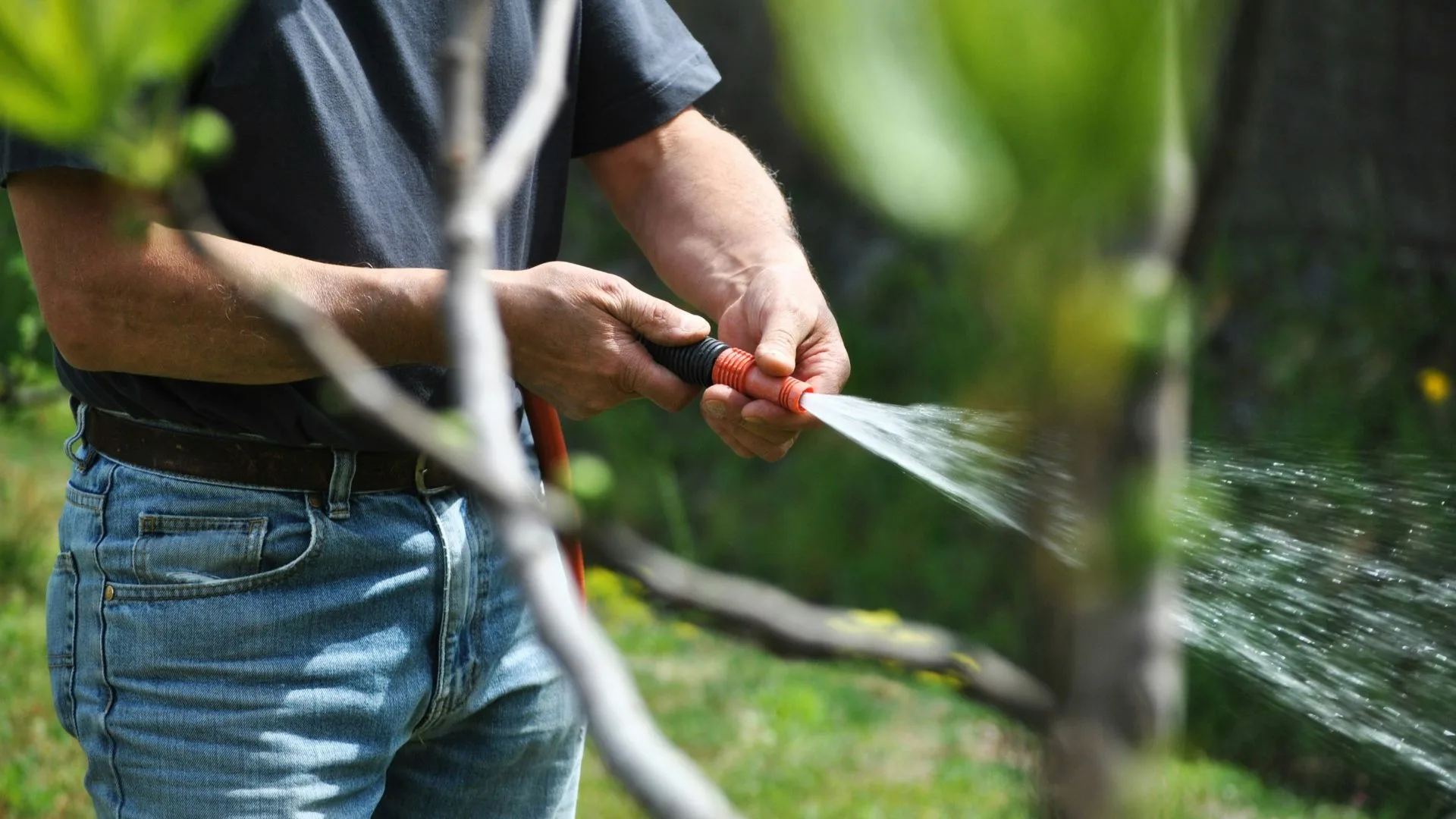 Anglian Water's East of England hosepipe ban: could Oxfordshire face similar restrictions this summer?