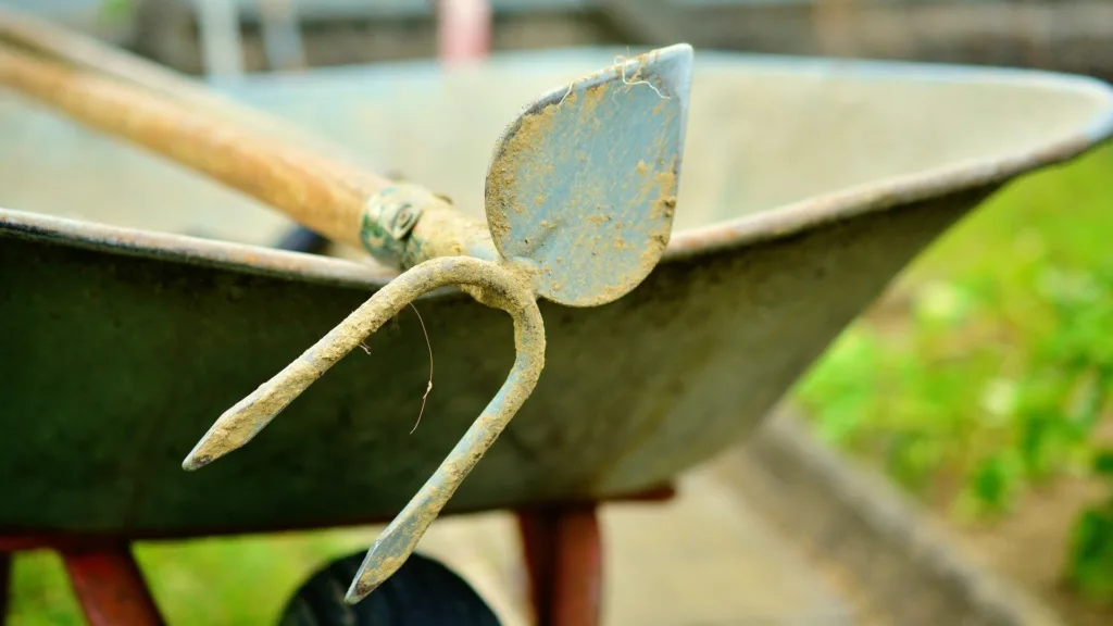 May gardening guide: what to do in your garden this May