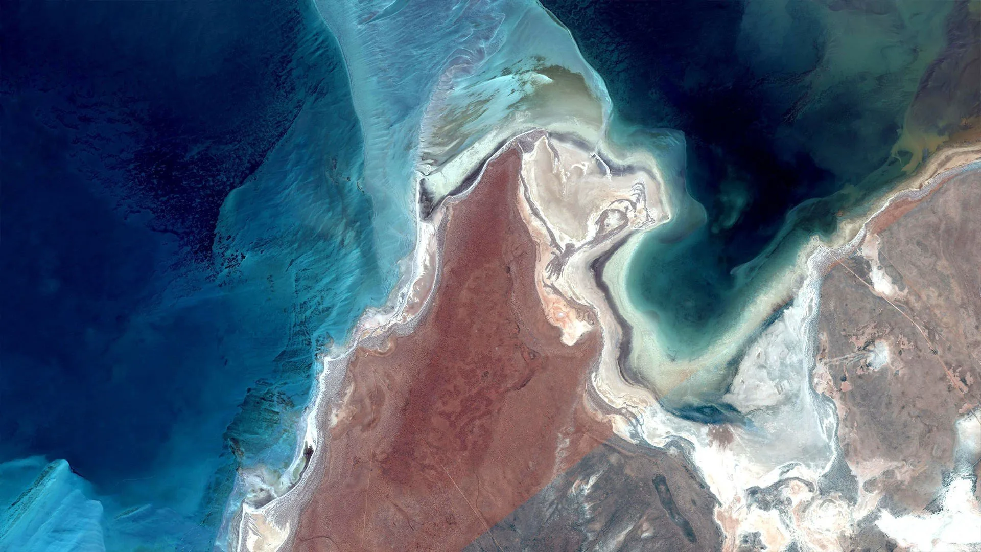 Five Oxfordshire tech companies selected to Tech Nation’s AI programme