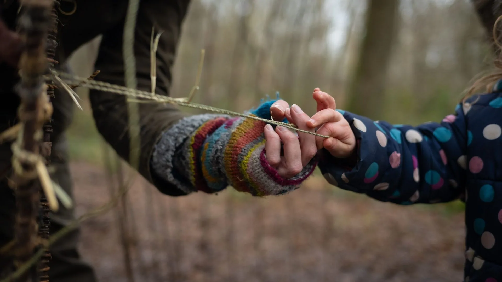 Foraging Connections