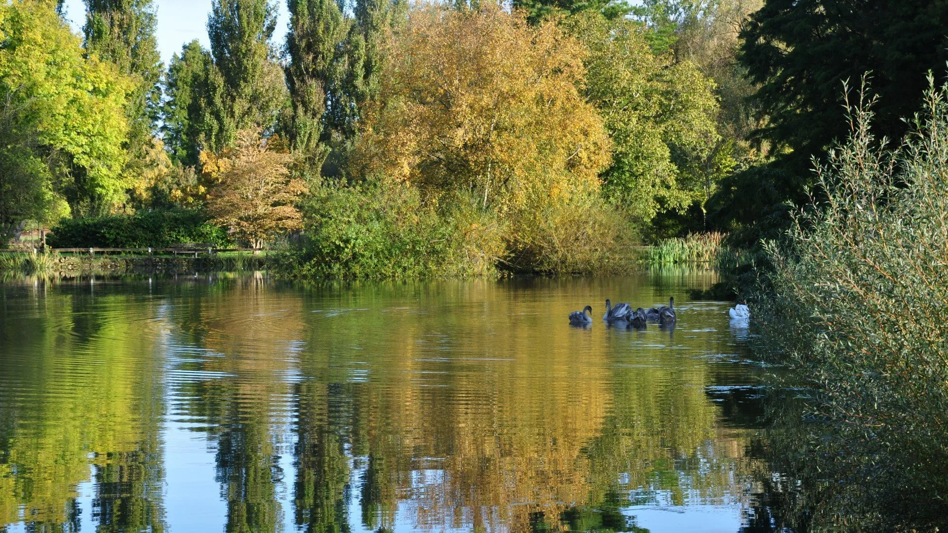 Nature recovery plan proposed for Oxfordshire and Buckinghamshire