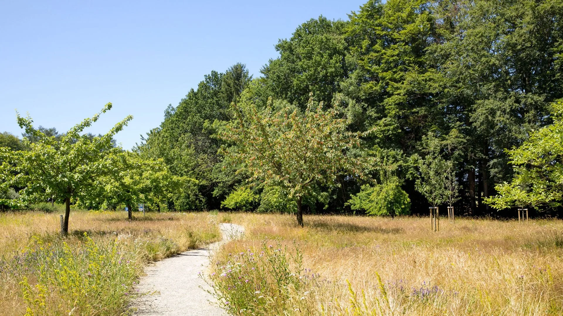 Oxford Burial Meadow