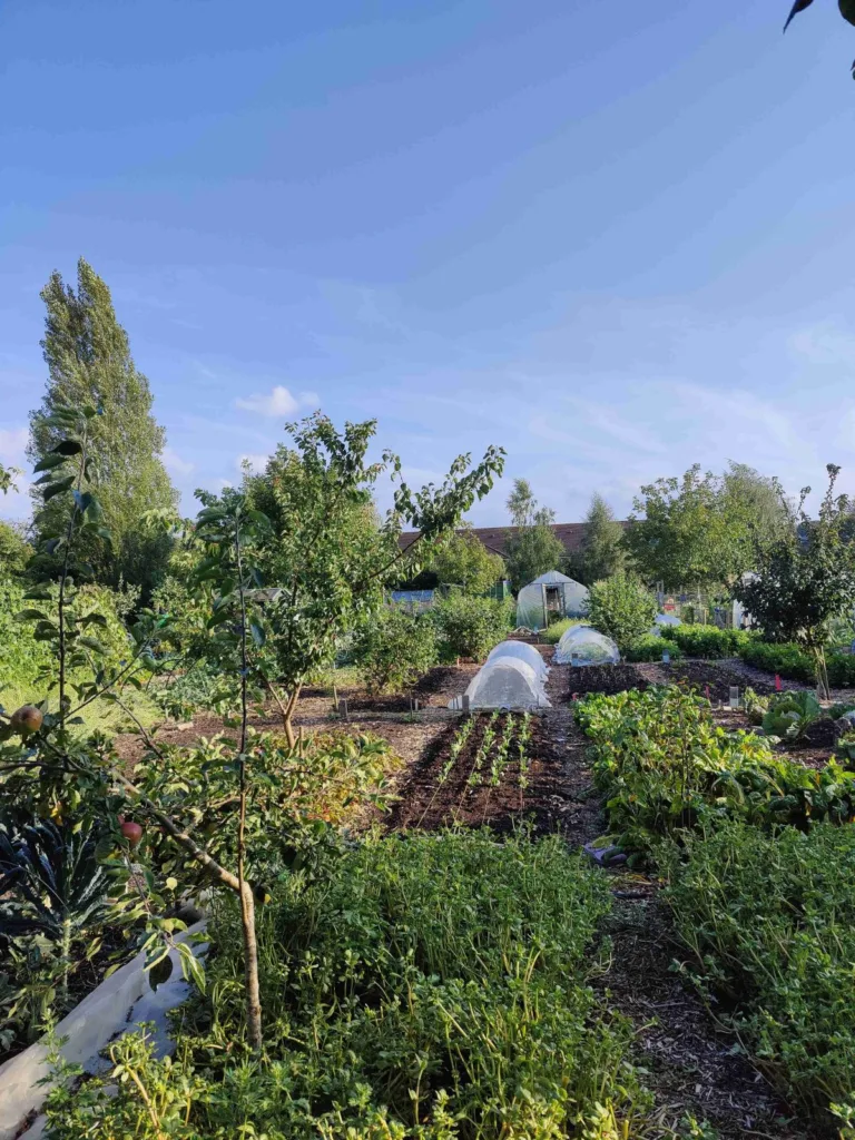 Oxford City Farm