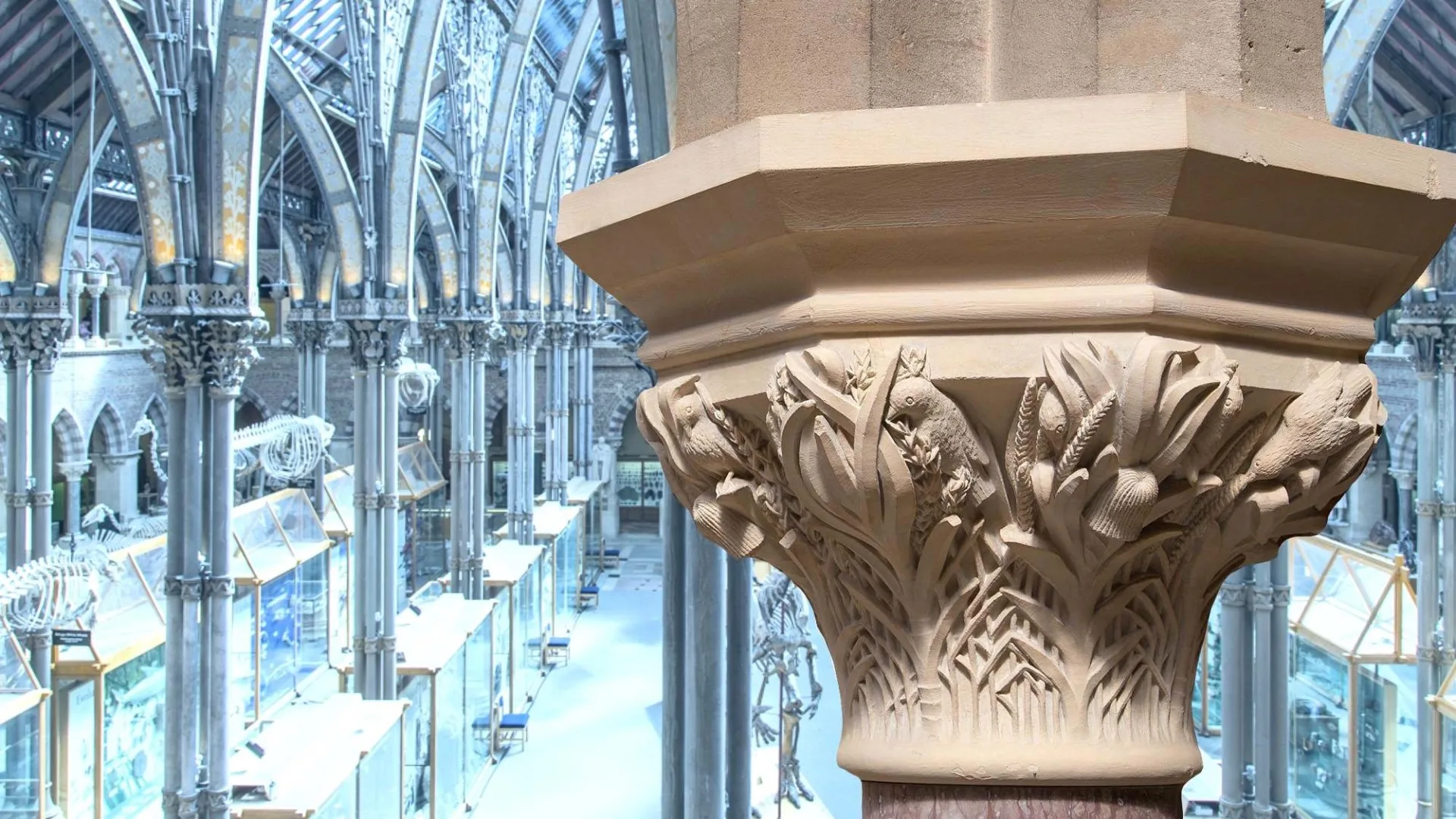 Oxford University Museum of Natural History Architecture Tour