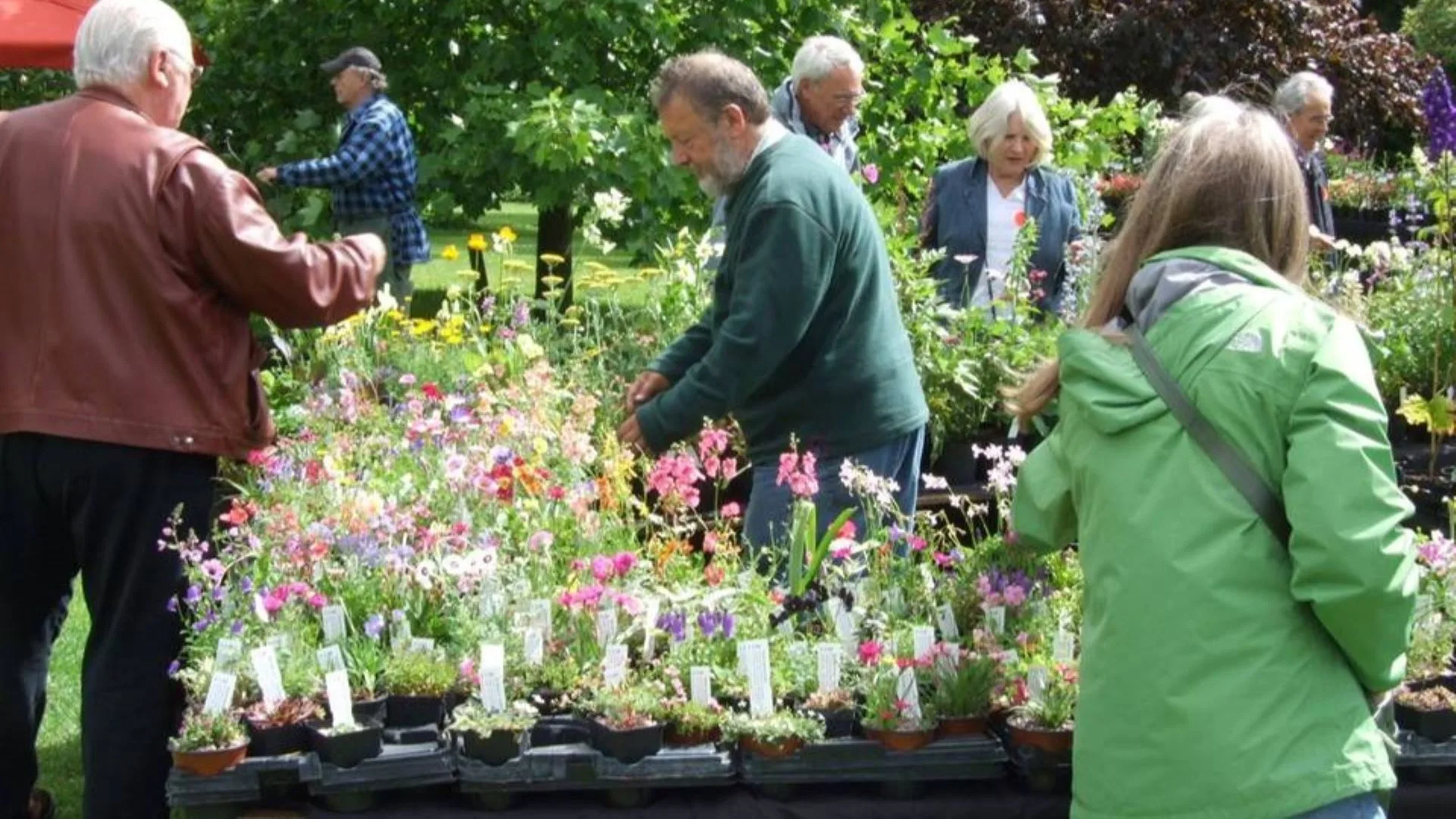 Rare Plant Fair