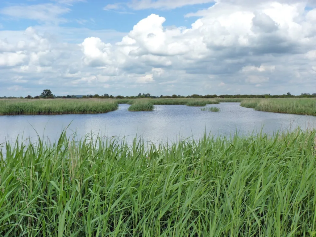 RSPB Otmoor Nature Reserve