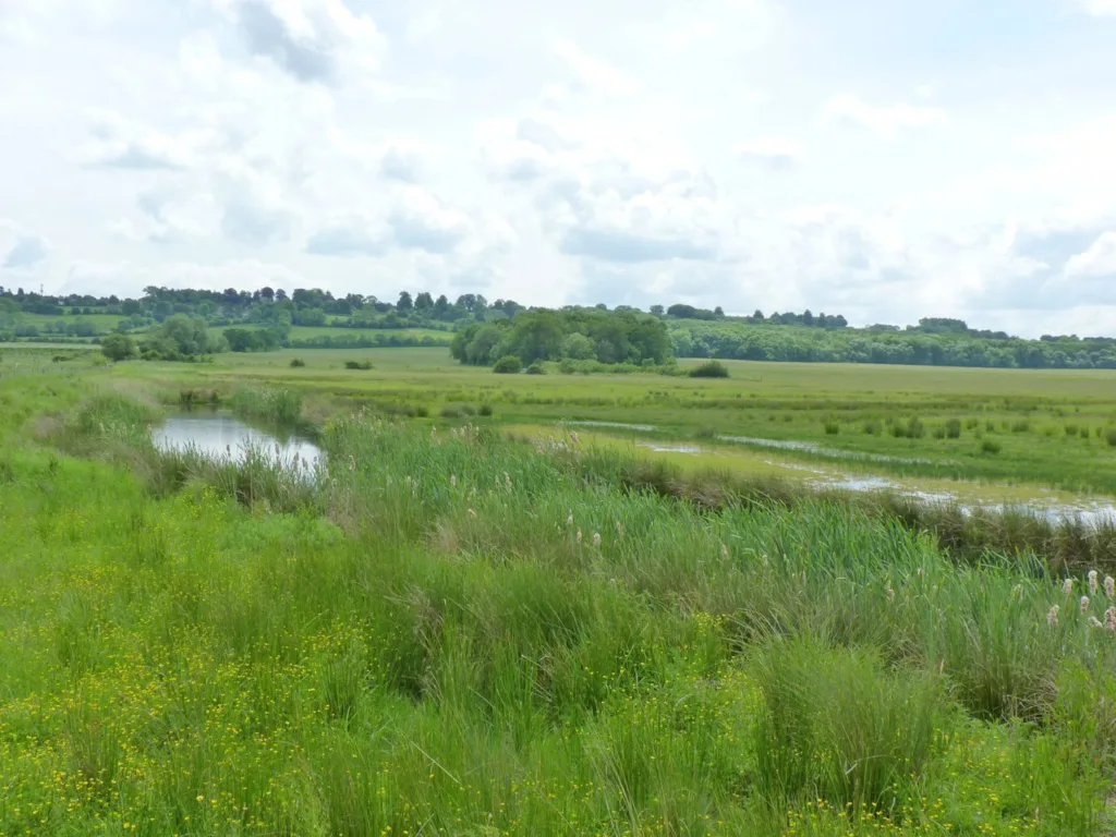 RSPB Otmoor Nature Reserve