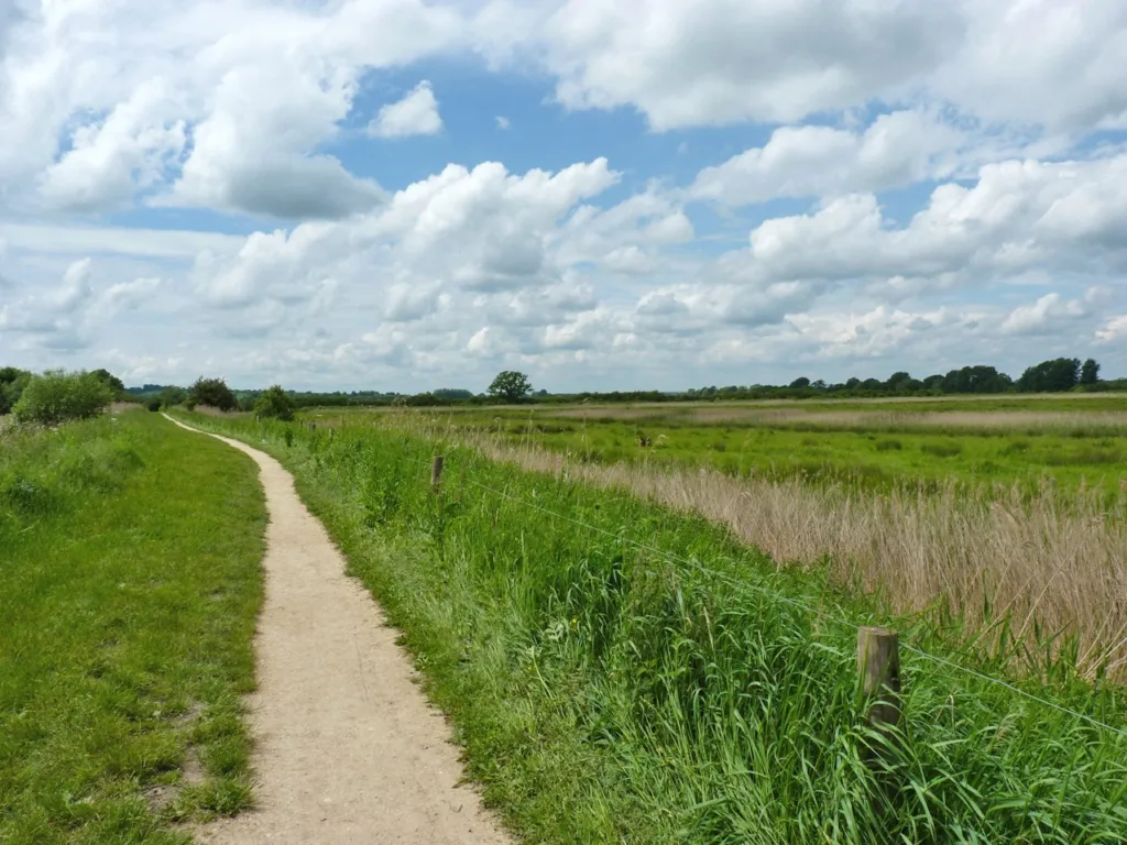 RSPB Otmoor Nature Reserve