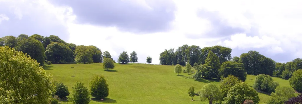 Stonor Park Oxfordshire - Parkland