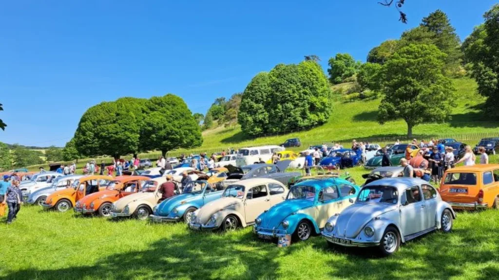 VW Car Rally at Stonor Park
