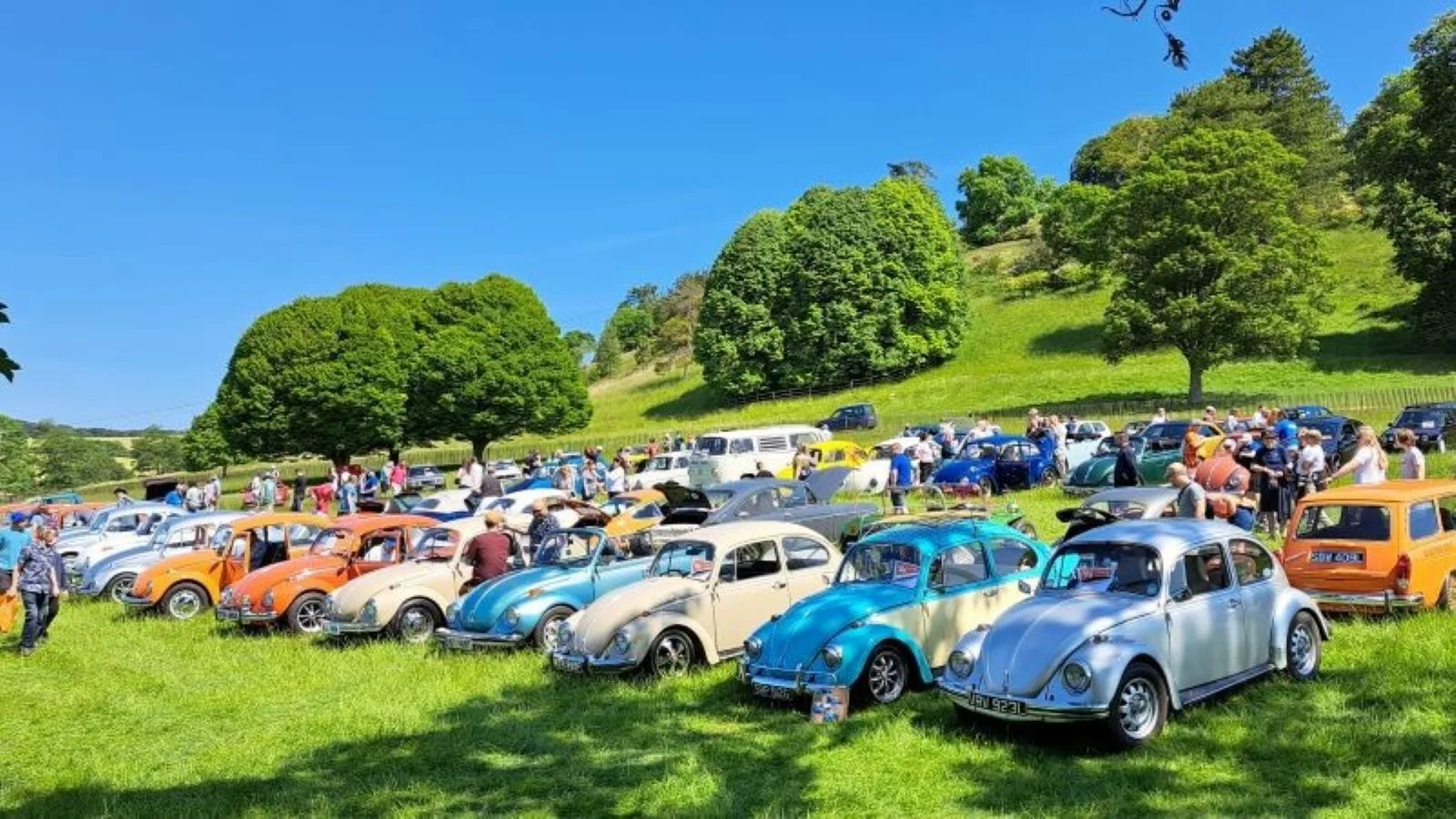 VW Car Rally at Stonor Park