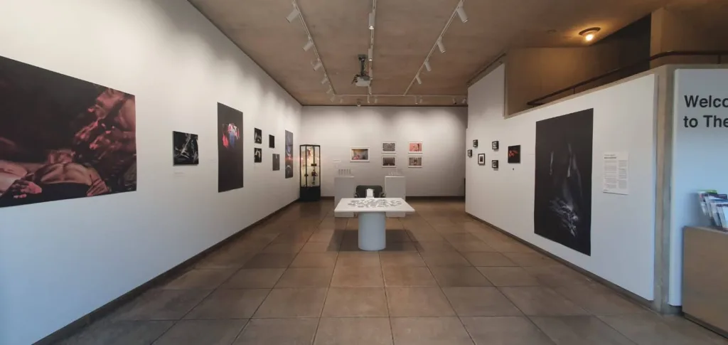 The North Wall Arts Centre Gallery 12