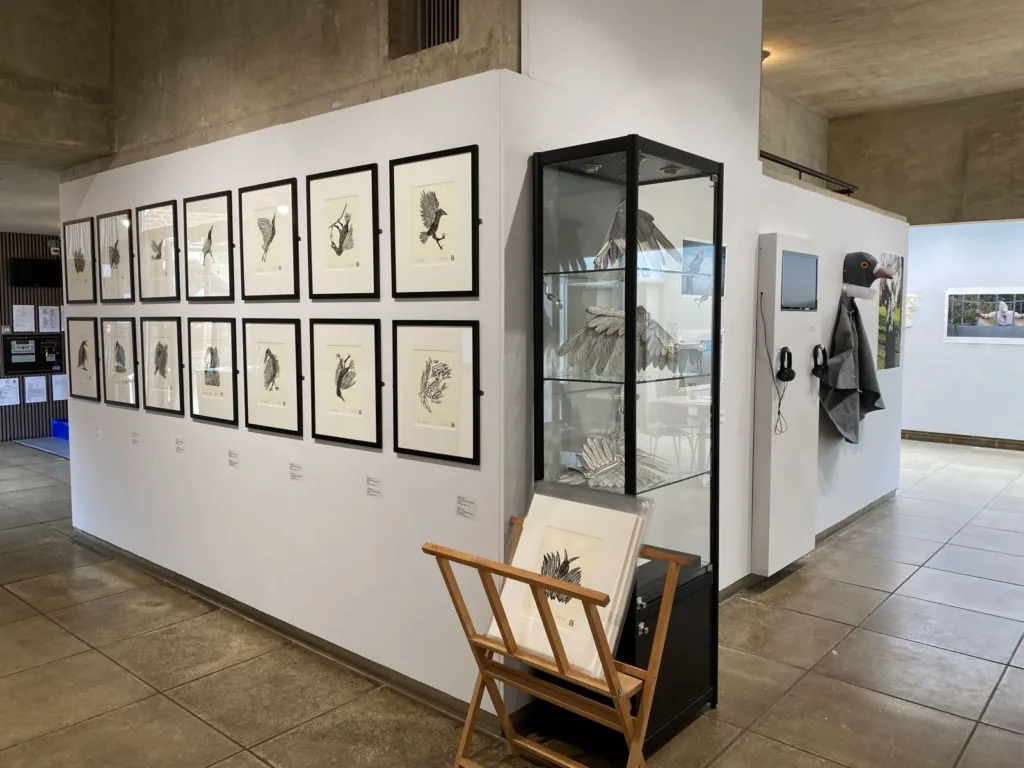 The North Wall Arts Centre Gallery 13