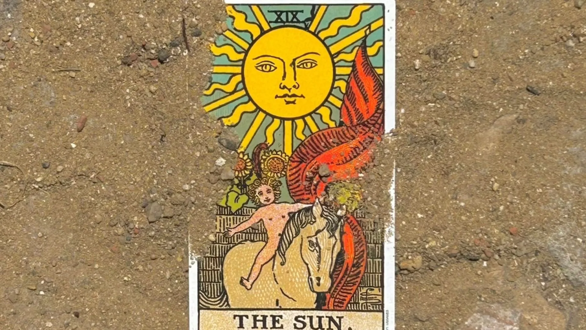 The Sun King / Things to do in and around Oxford this weekend