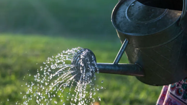 Watering Can